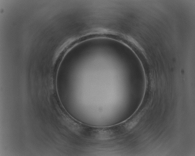 X0000071781318200606301210