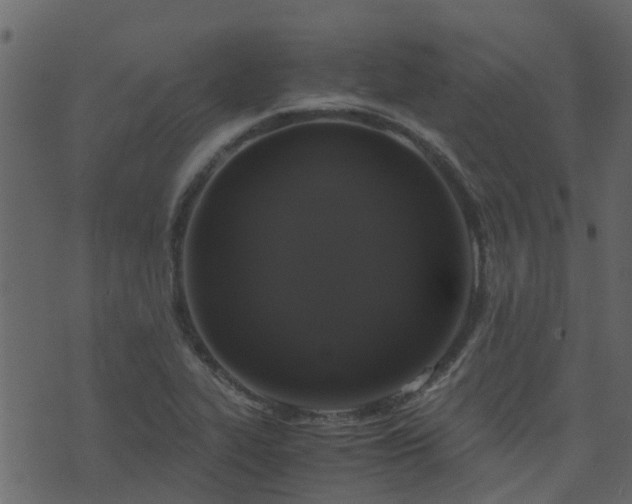 X0000071781319200606301210