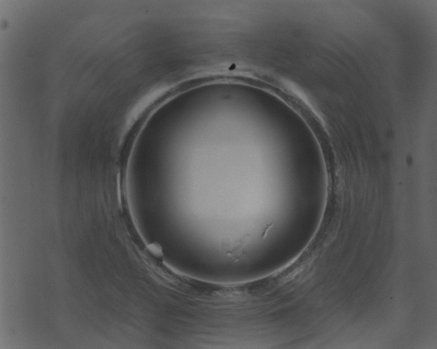 X0000071781320200606301210