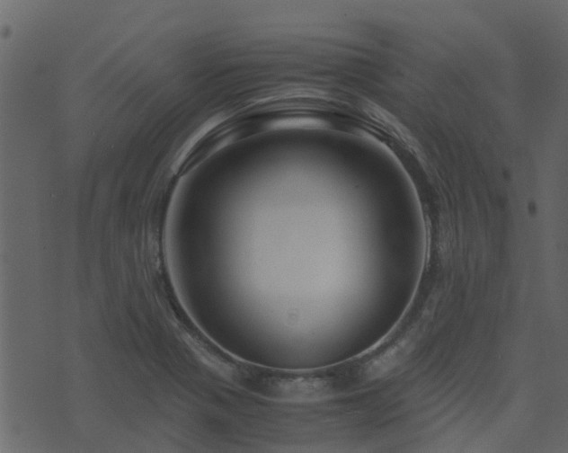 X0000071781321200606301210