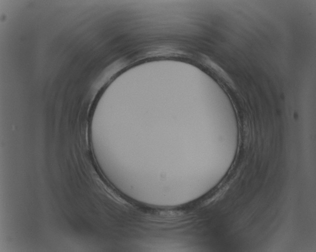 X0000071781322200606301210