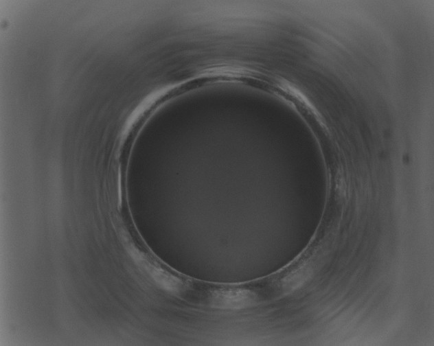 X0000071781323200606301210