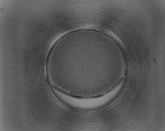 X0000071781324200606301210