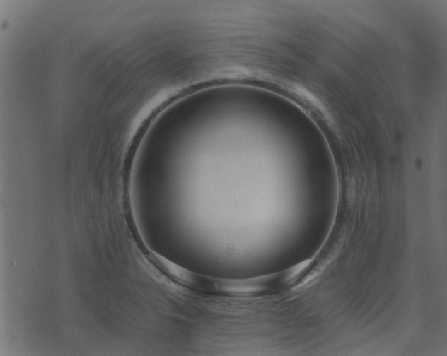 X0000071781326200606301210