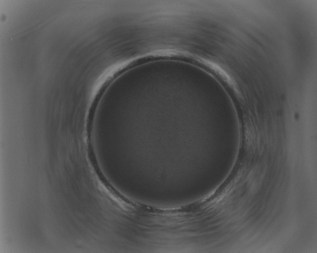 X0000071781327200606301210