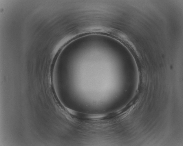 X0000071781328200606301210