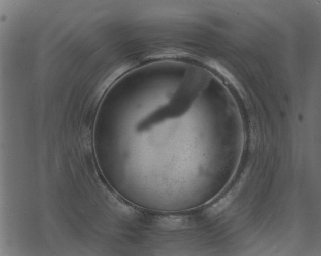 X0000071781329200606301210