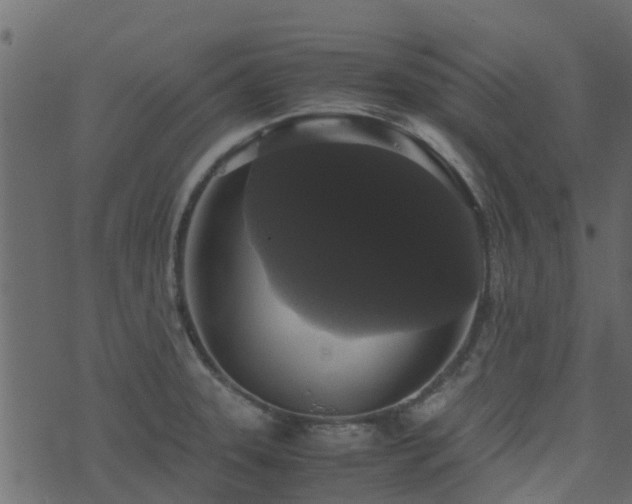 X0000071781331200606301210