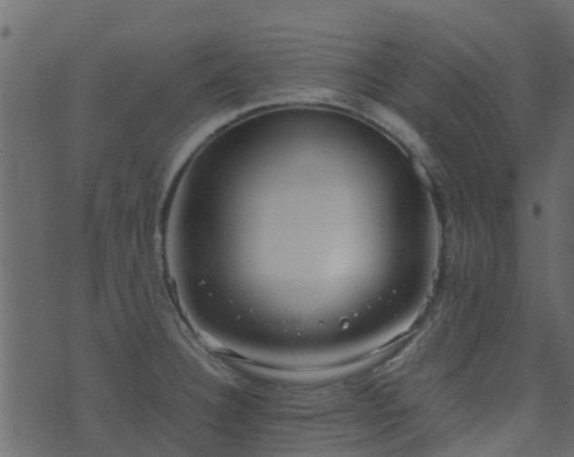 X0000071781332200606301210