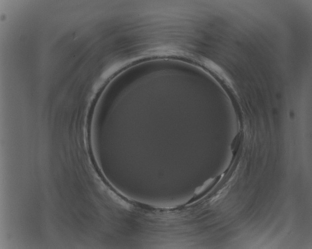 X0000071781334200606301210