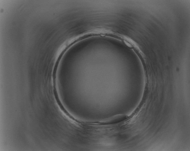 X0000071781335200606301210