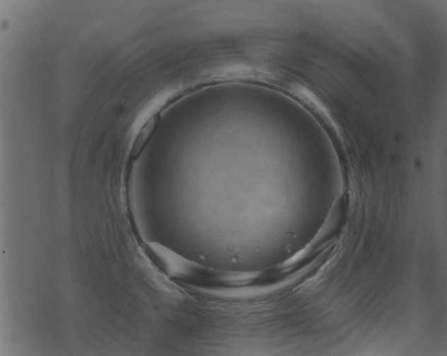 X0000071781336200606301210