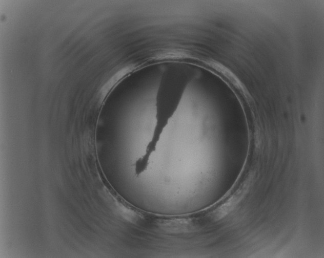 X0000071781337200606301210