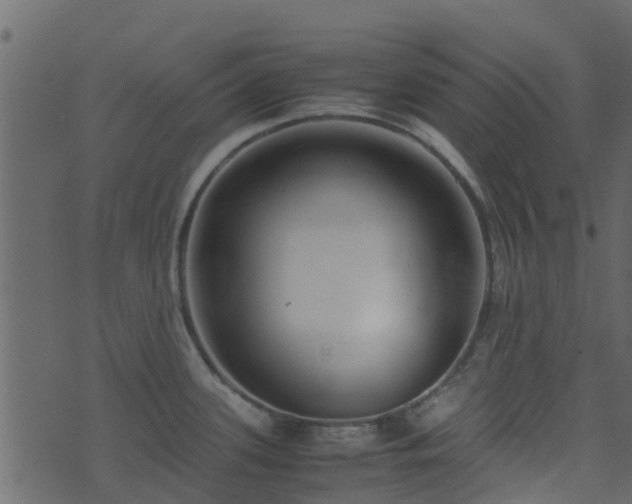 X0000071781339200606301211