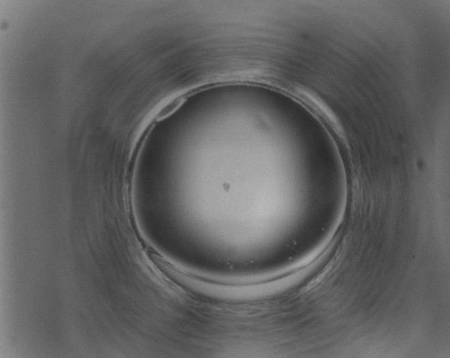 X0000071781340200606301211