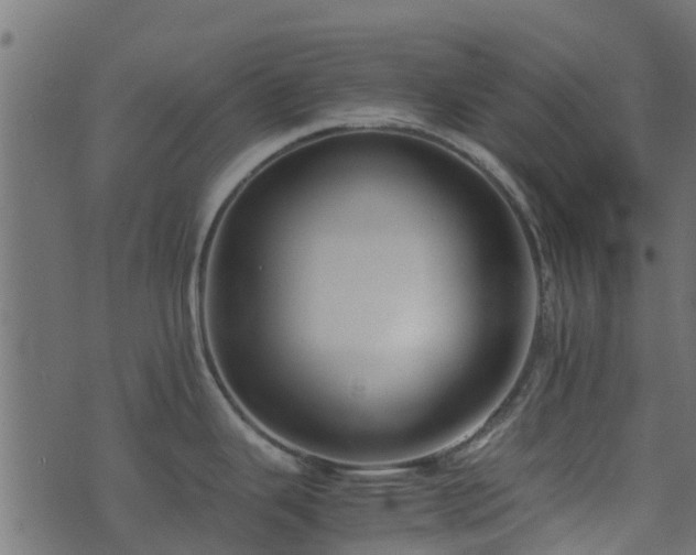 X0000071781343200606301211