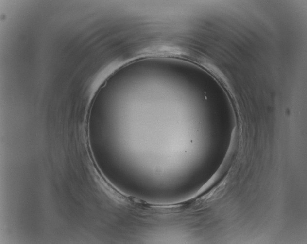 X0000071781344200606301211