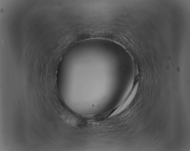 X0000071781345200606301210