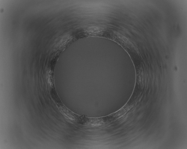 X0000071781346200606301210