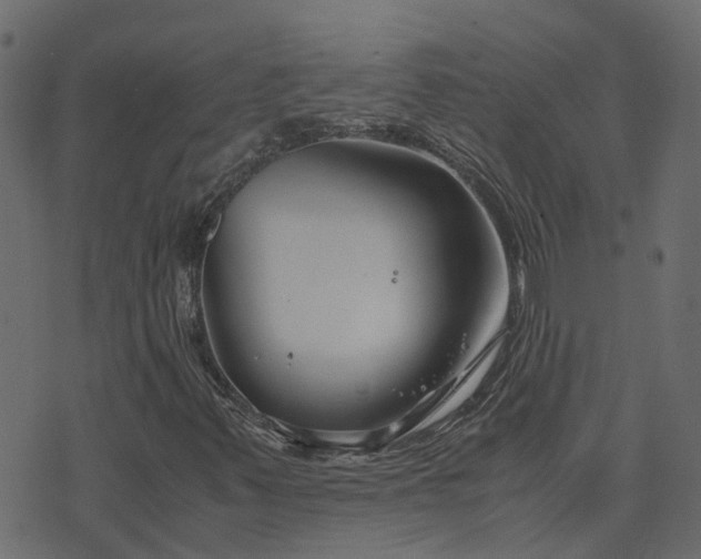 X0000071781347200606301210