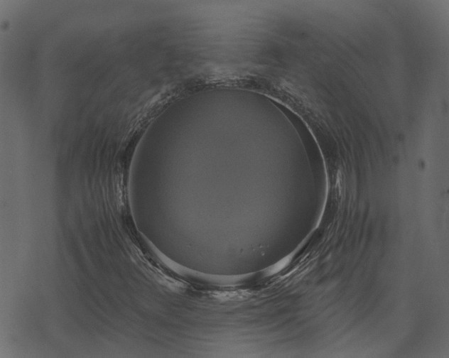 X0000071781348200606301210