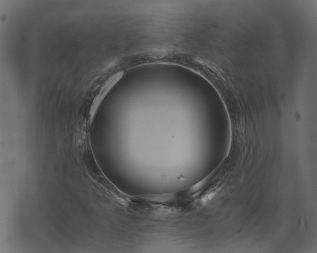 X0000071781349200606301210