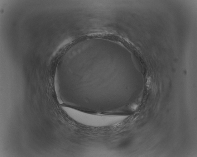 X0000071781351200606301210