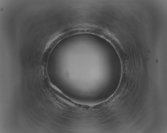 X0000071781352200606301210