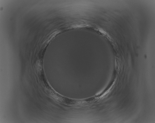 X0000071781353200606301210