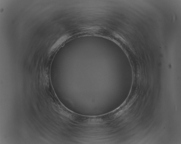 X0000071781354200606301210