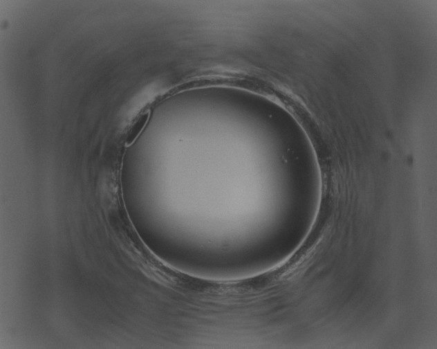 X0000071781355200606301210