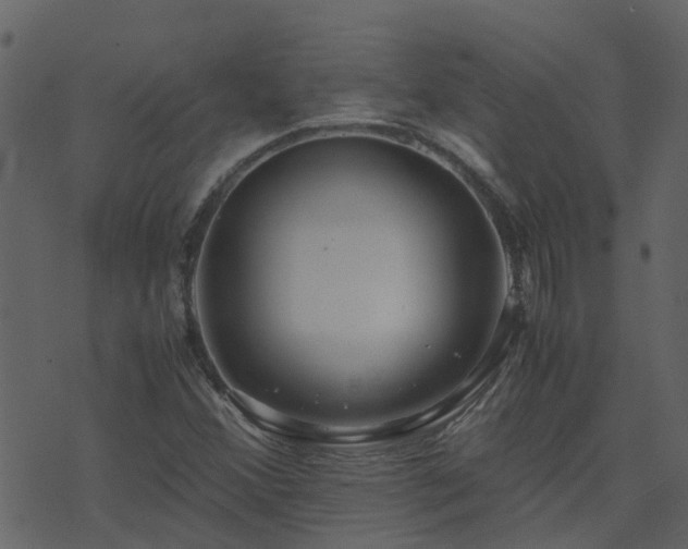 X0000071781356200606301210