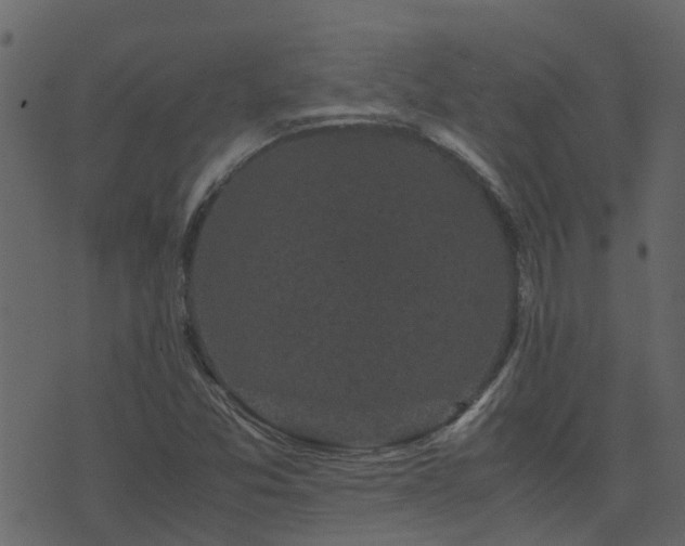 X0000071781357200606301210