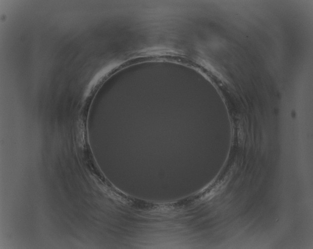 X0000071781358200606301210