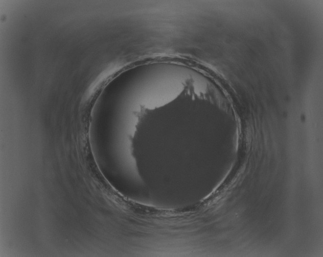 X0000071781359200606301210