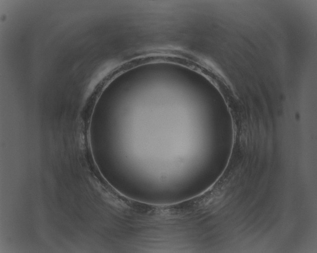 X0000071781360200606301210