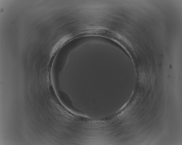 X0000071781362200606301210