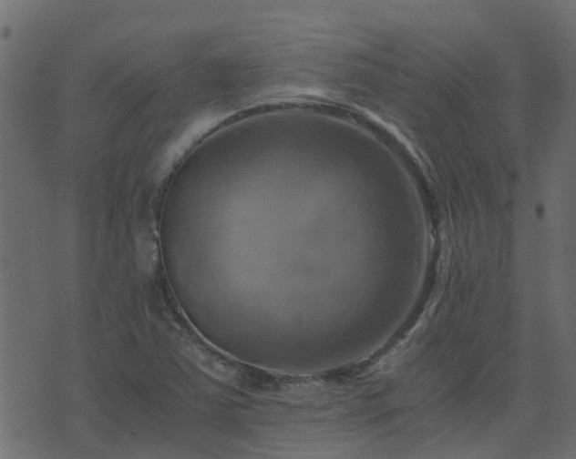 X0000071781363200606301210