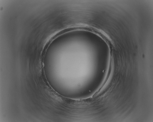 X0000071781364200606301210