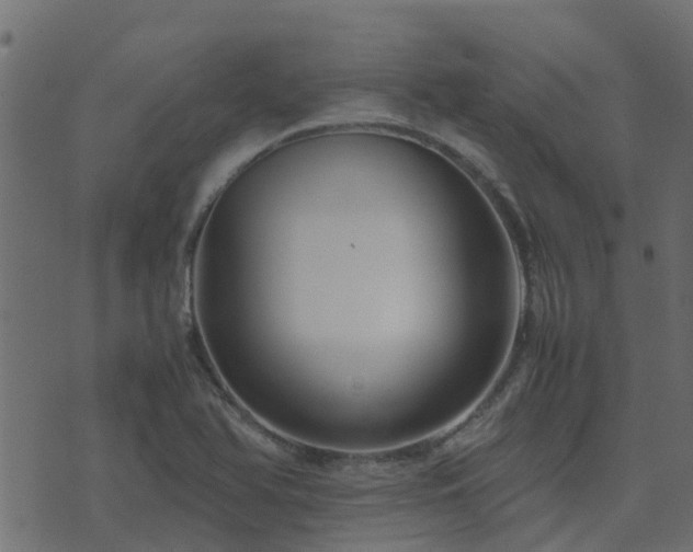 X0000071781366200606301209