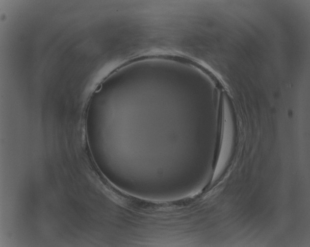 X0000071781367200606301209