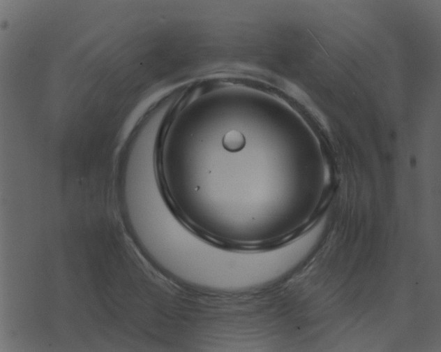 X0000071781368200606301209