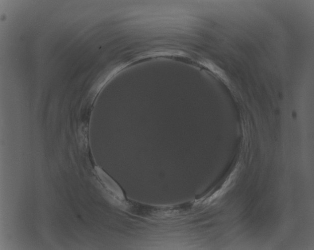 X0000071781369200606301209