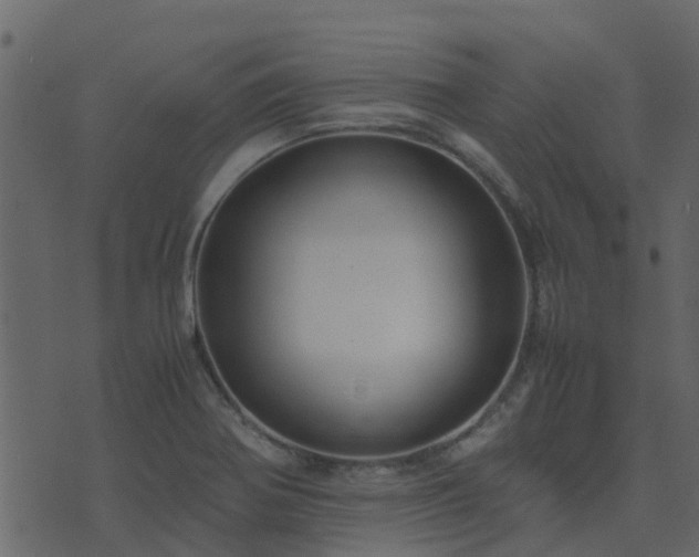 X0000071781370200606301209