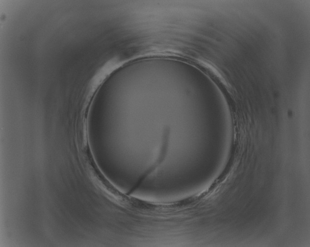 X0000071781371200606301209