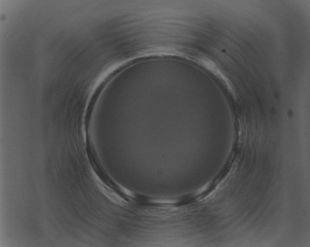 X0000071781372200606301209