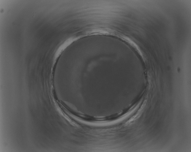 X0000071781373200606301209