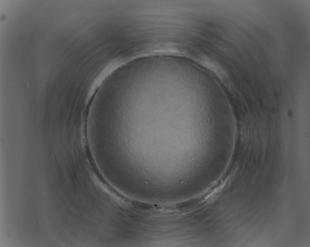 X0000071781374200606301209