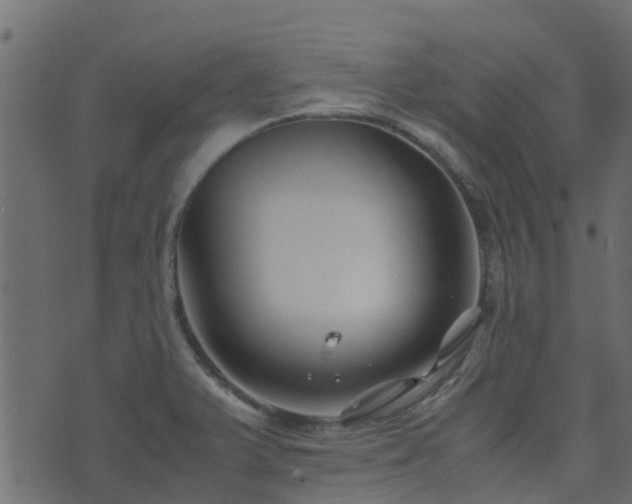 X0000071781375200606301209