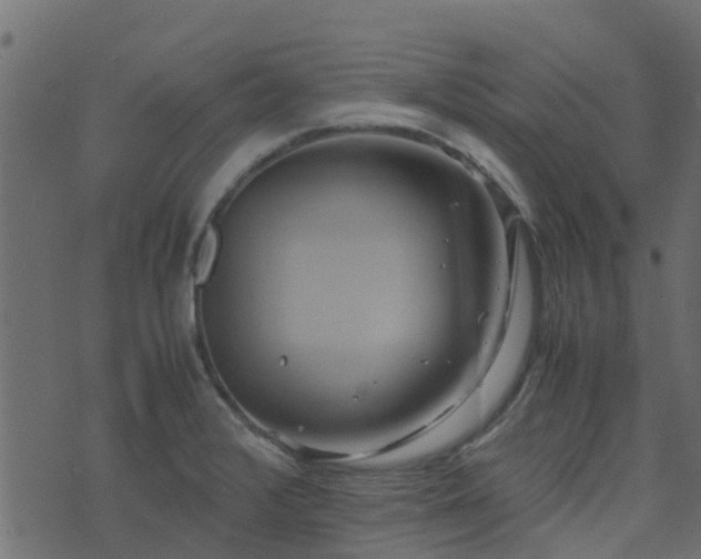 X0000071781376200606301209